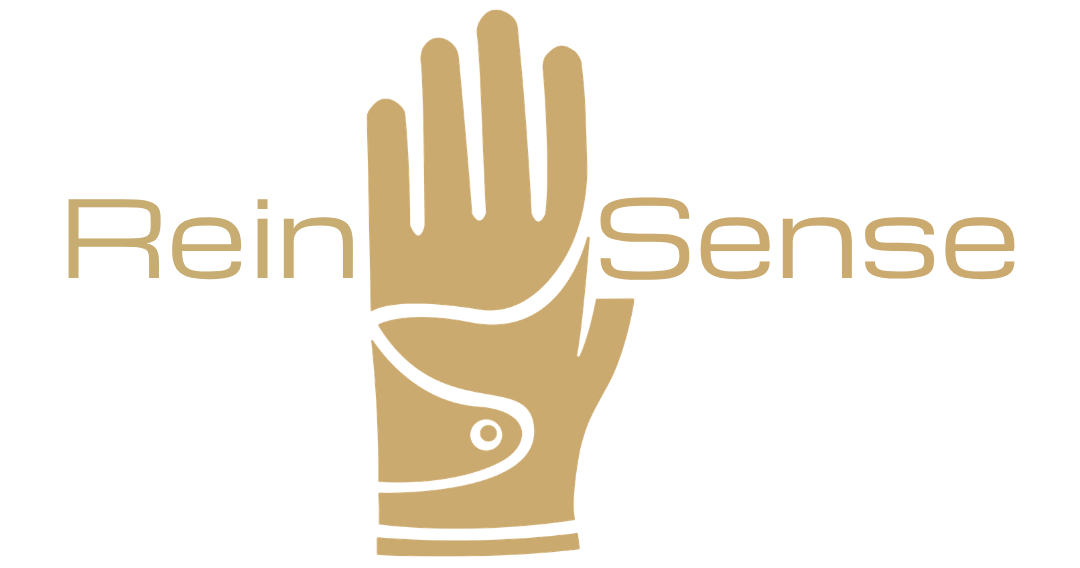 ReinSense